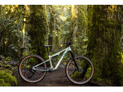 GIANT Embolden Pale Moss click to zoom image