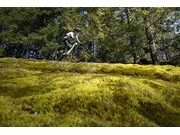 GIANT Embolden Pale Moss click to zoom image