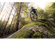 GIANT Embolden Pale Moss click to zoom image